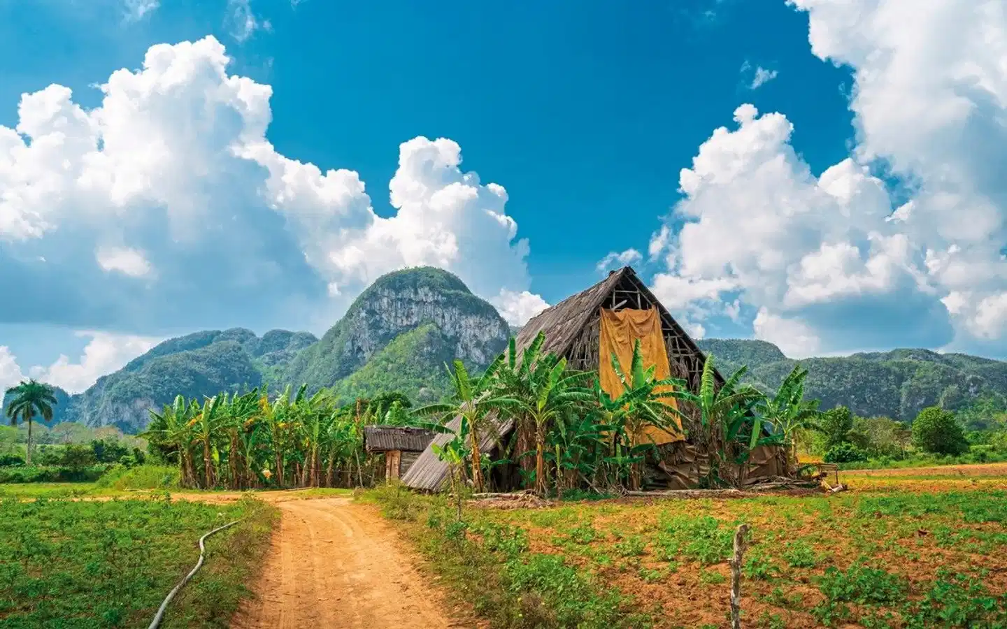 Cocktail Cubano Aussenansicht