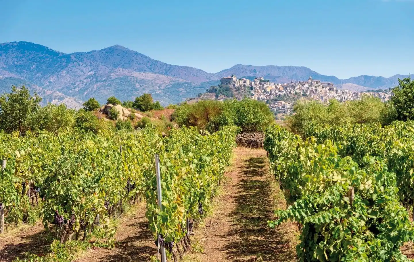 Sizilien - Genussvoll und kulturell entdecken Landschaft