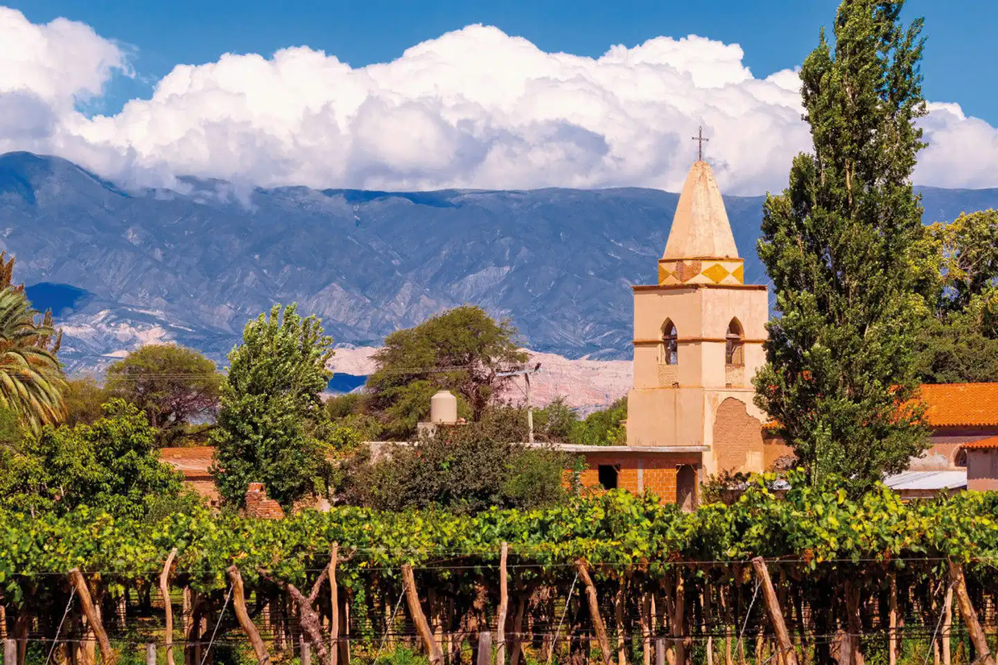 Südamerika: Zwischen Wüste, Wein & Wasserfällen Landschaft
