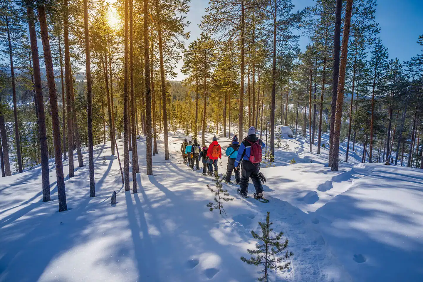 Wildnis unter dem Polarlicht - Inari Sport und Entertainment