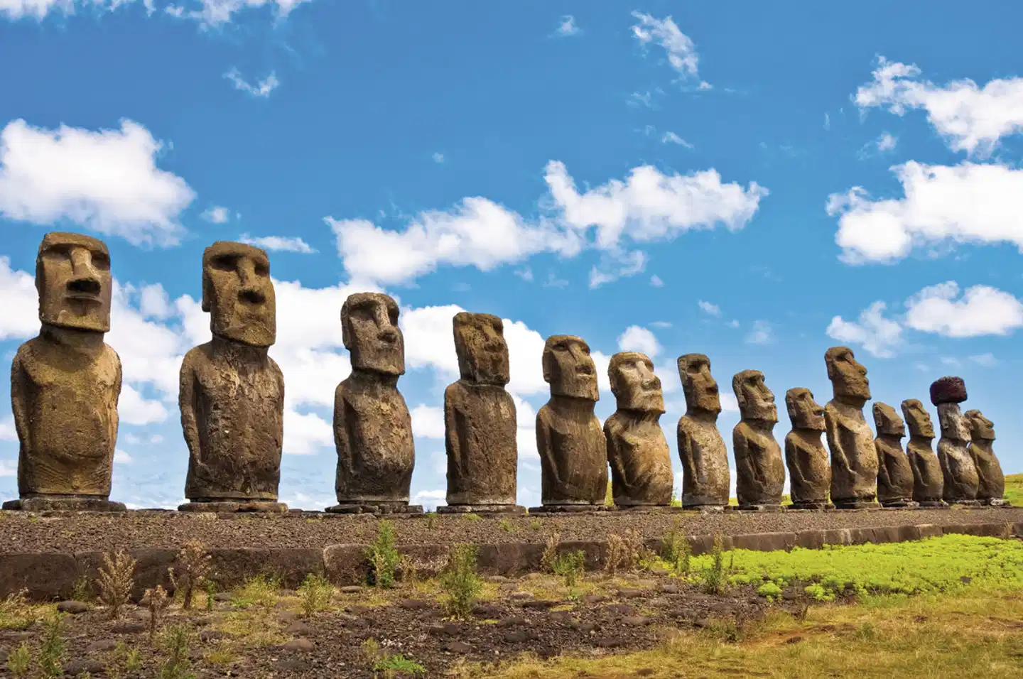 Auf den Spuren der Rapa Nui Tiere