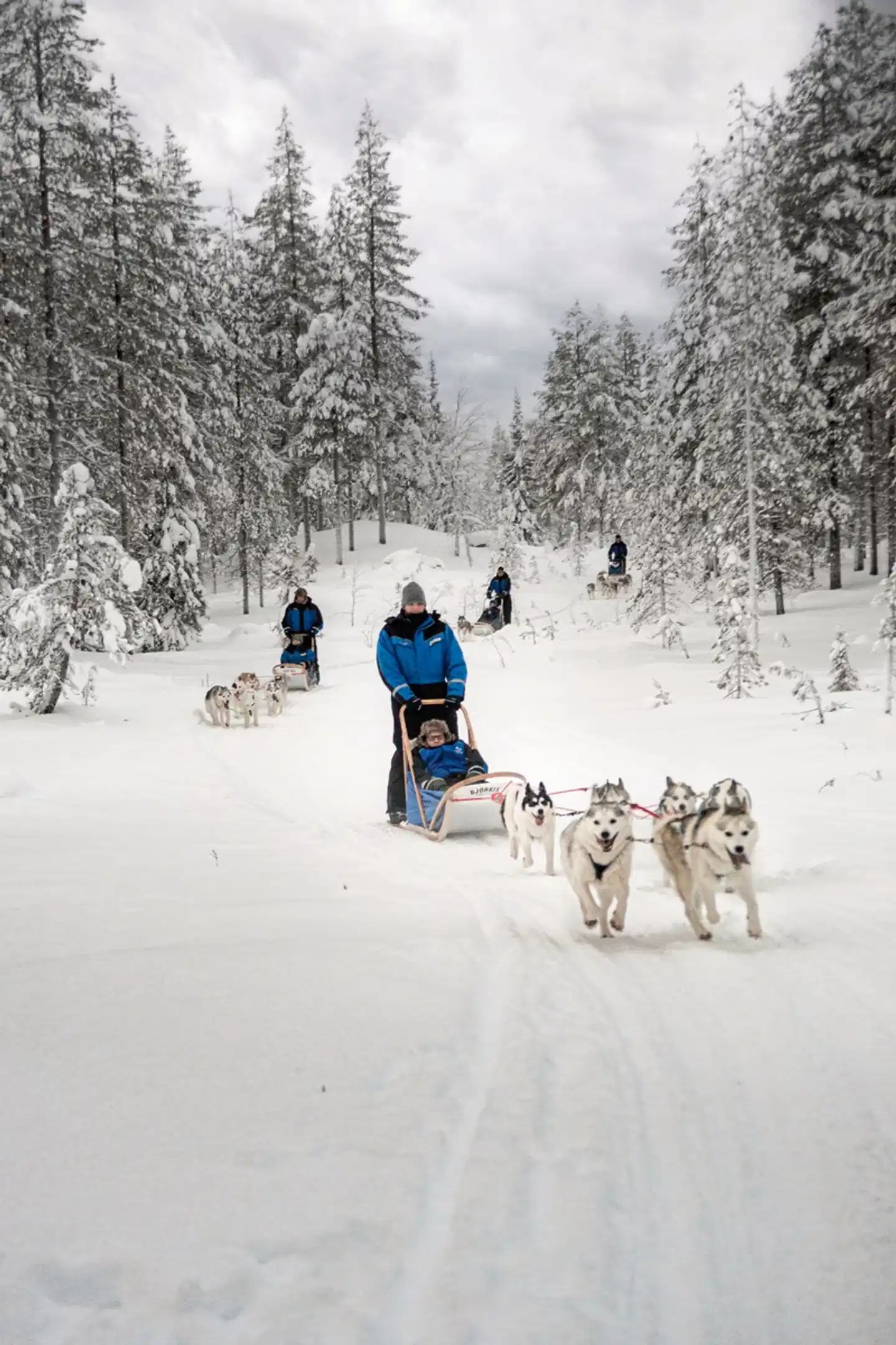 Lappland Deluxe - 4 Nächte Sport und Entertainment