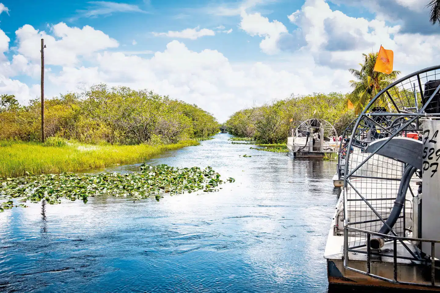 Florida Intensiv Landschaft