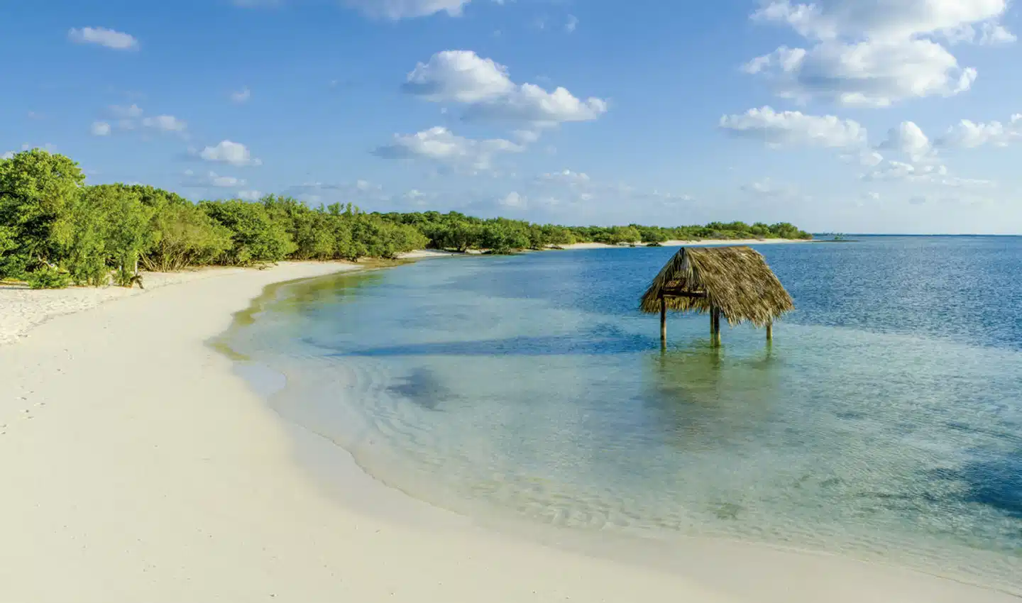 Cocktail Cubano Strand