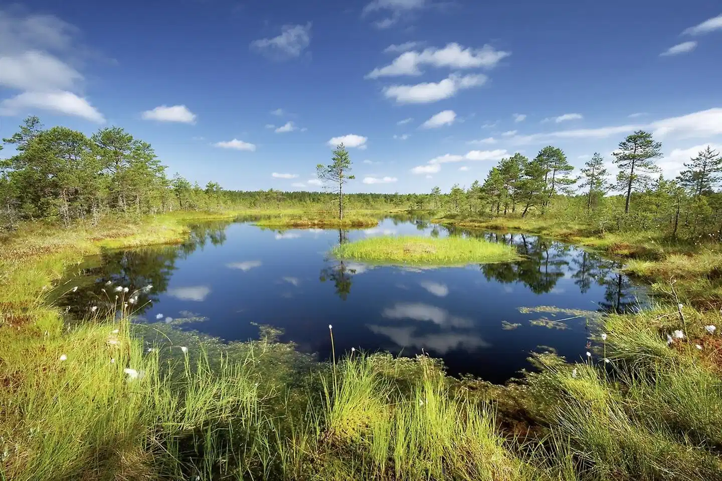 Baltische Abenteuer Landschaft