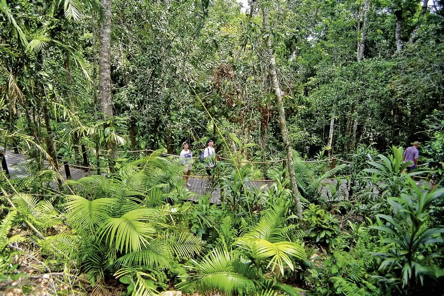 Sydney, Rock & Reef Landschaft