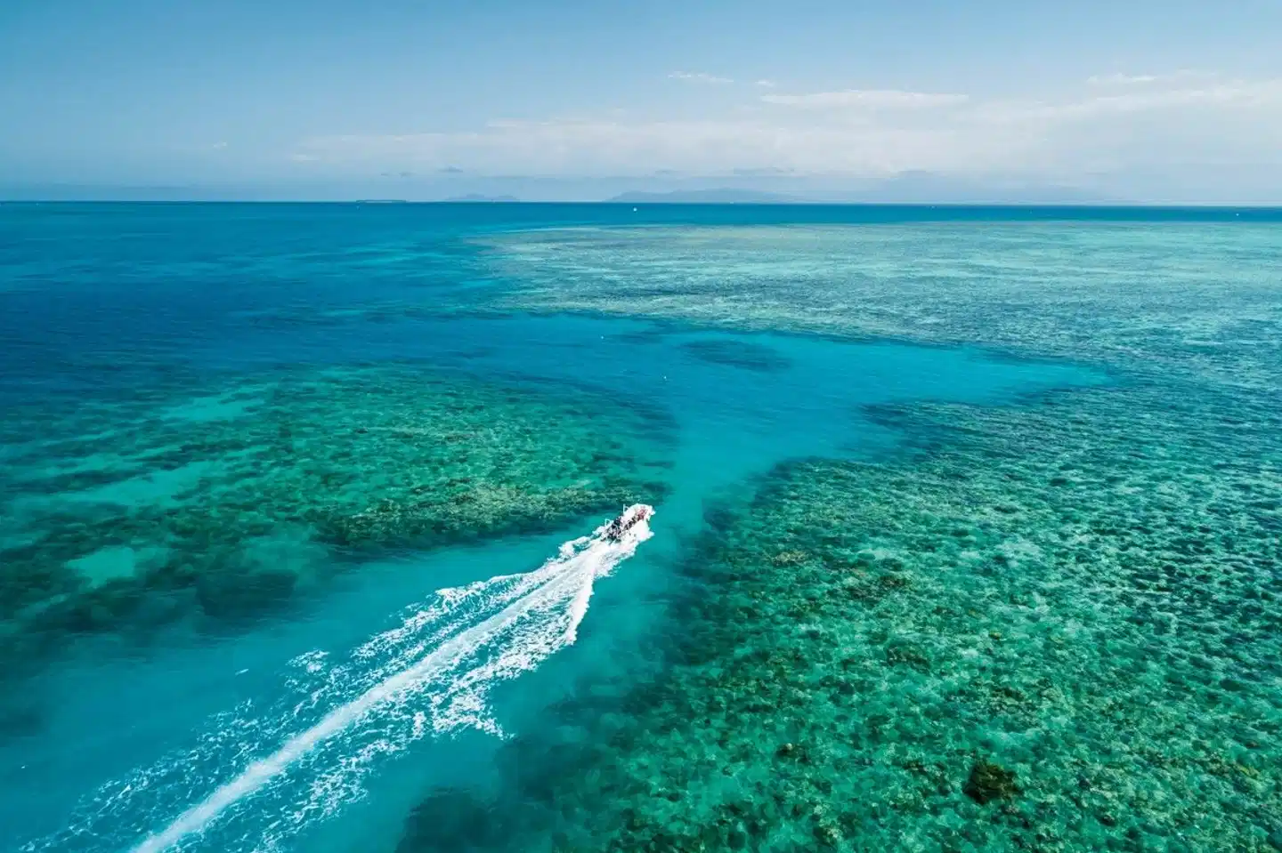Cairns erleben (4 Nächte) Landschaft