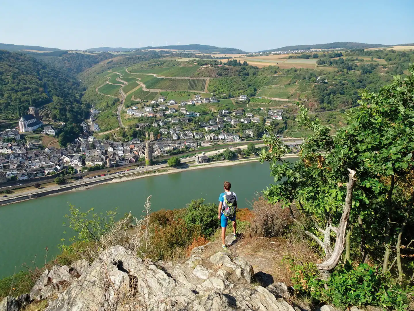 Rheinsteig Landschaft