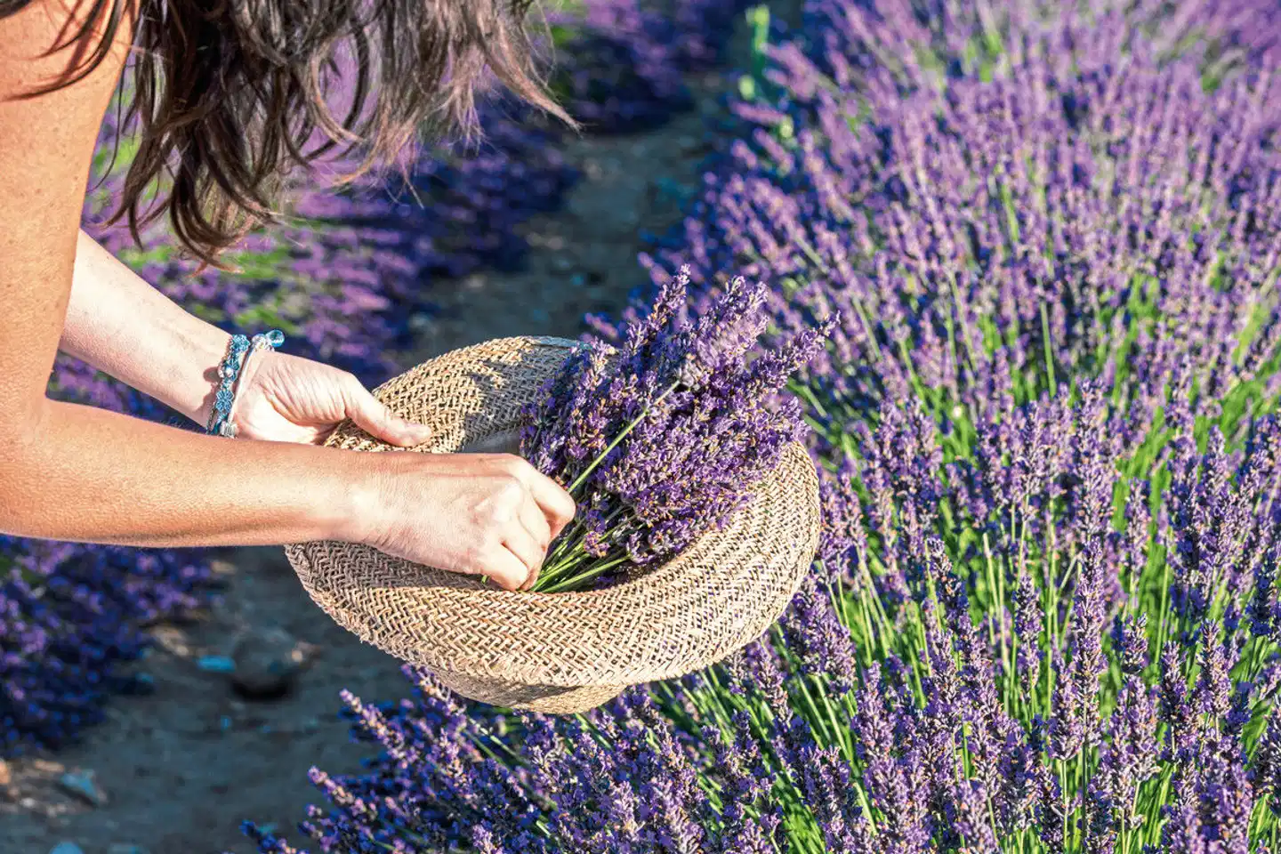 Höhepunkte der Provence Wellness