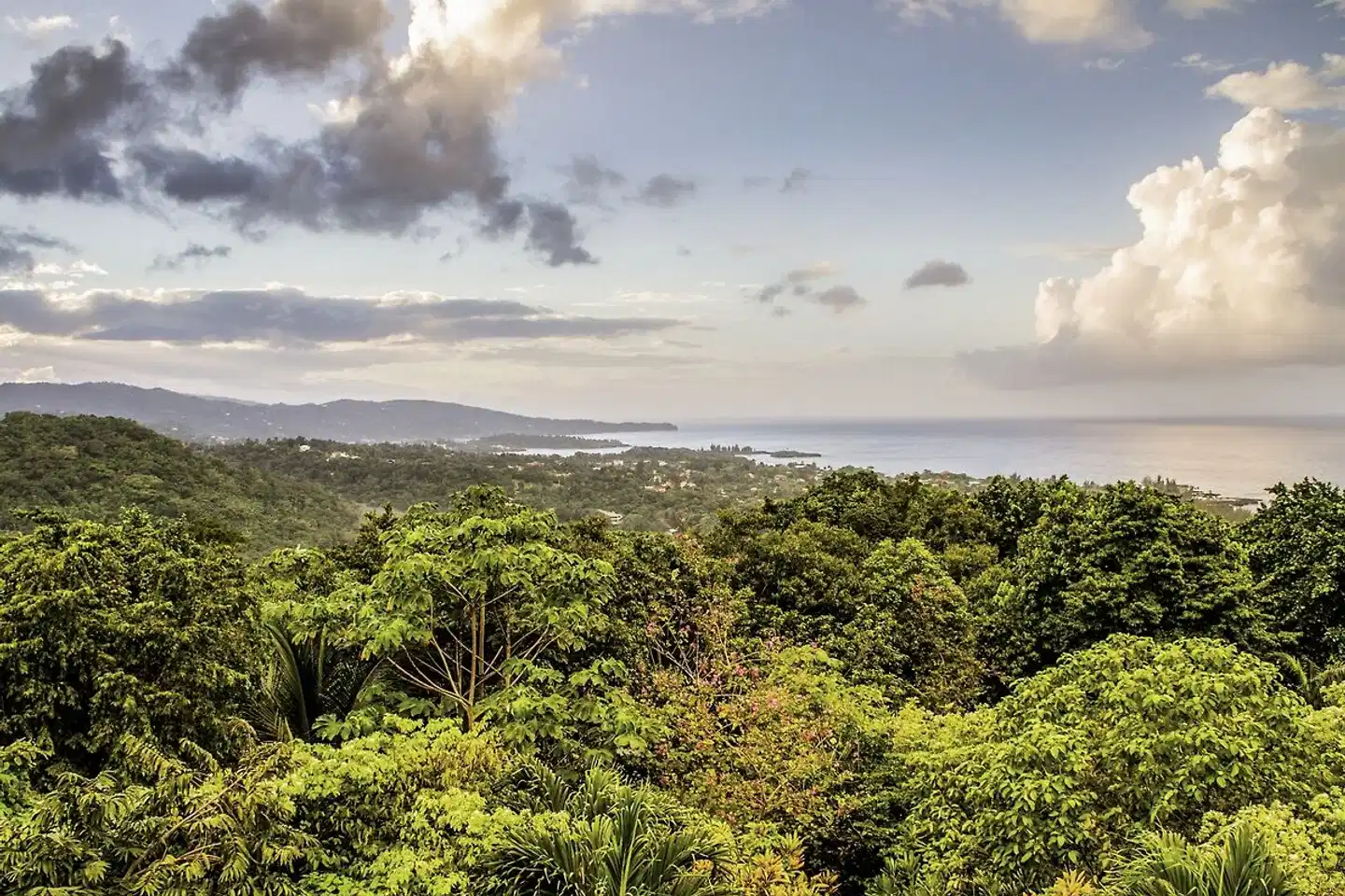 La jamaïque par vous-même Landschaft