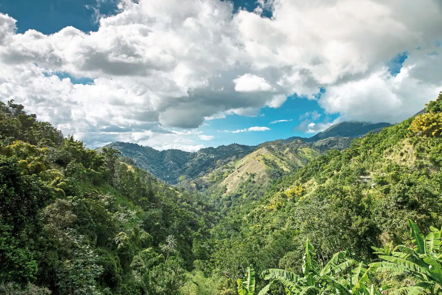 Jamaikas bunte Vielfalt Landschaft