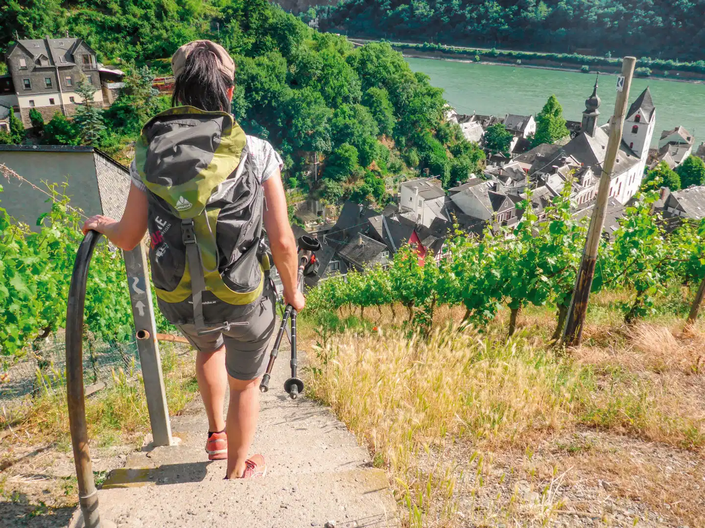 Rheinsteig Landschaft