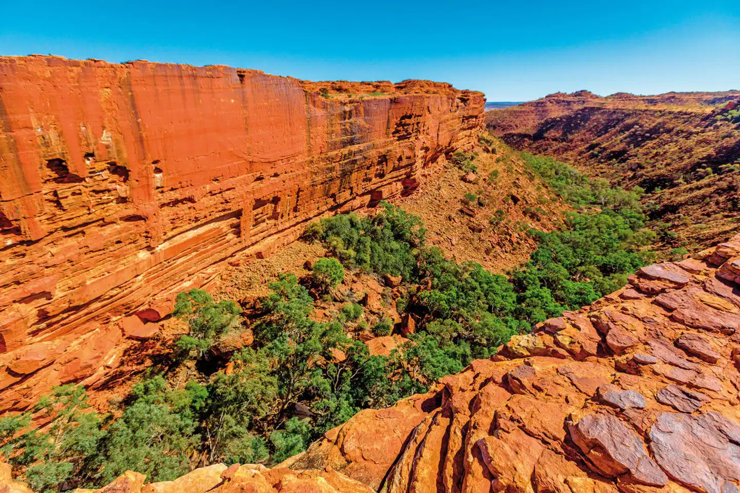 Känguru-Hüpfer & Ostküste Landschaft