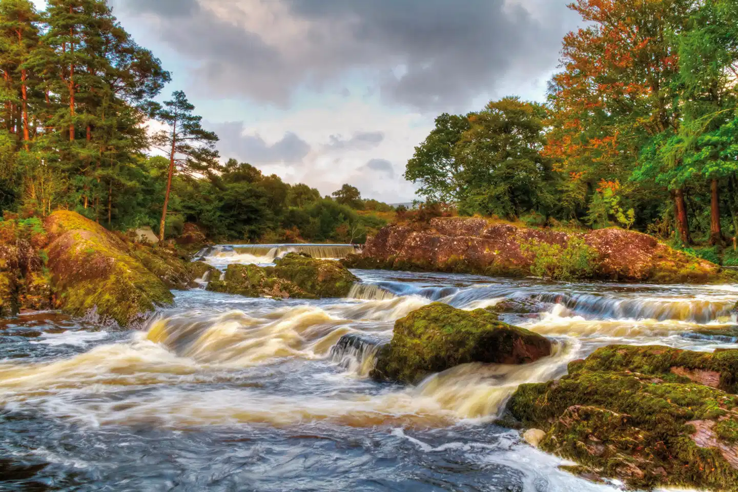Höhepunkte rund um Killarney plus Landschaft