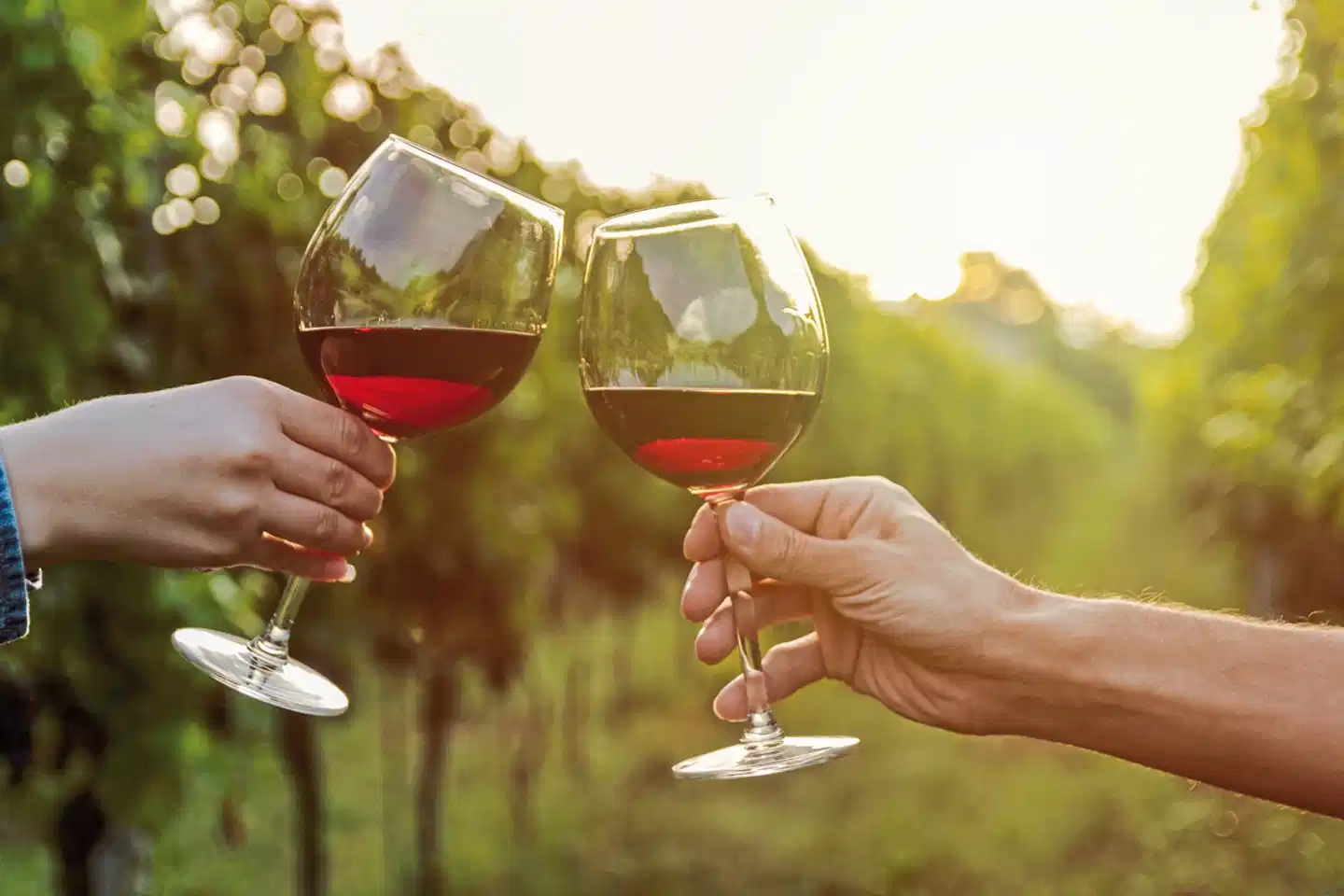 Kleingruppenreise Kalifornien entdecken Wellness