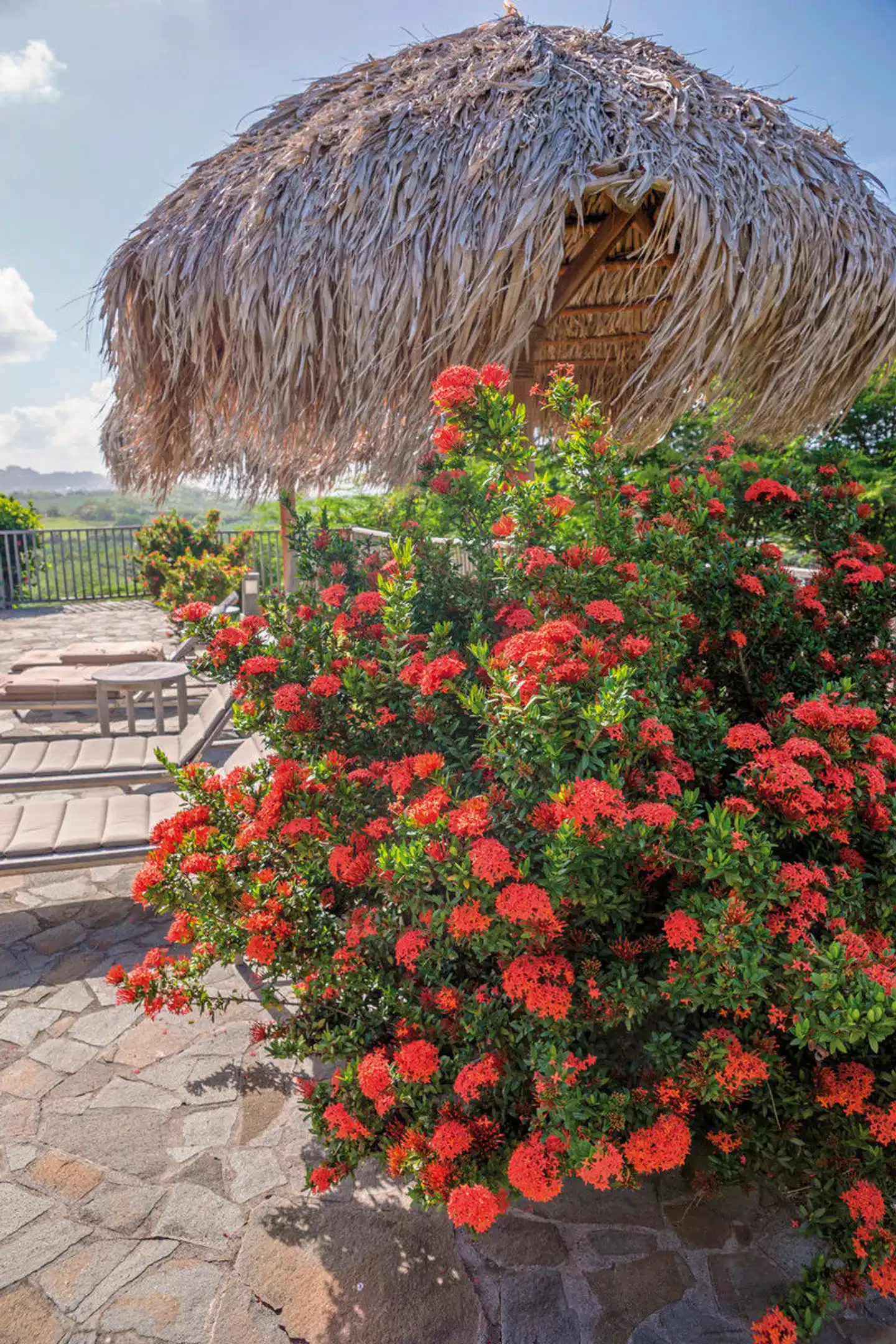 100 % Martinique - Erlebnis Blumeninsel Landschaft