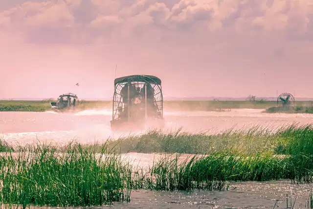 Florida Sunshine State Landschaft