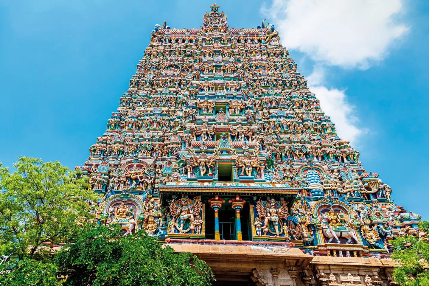 Gandhis grüner Garten (Gruppenreise) Aussenansicht