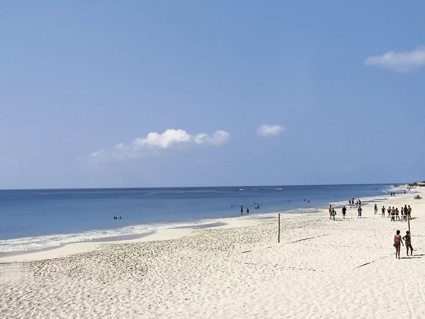 Starfish Cayo Largo Strand