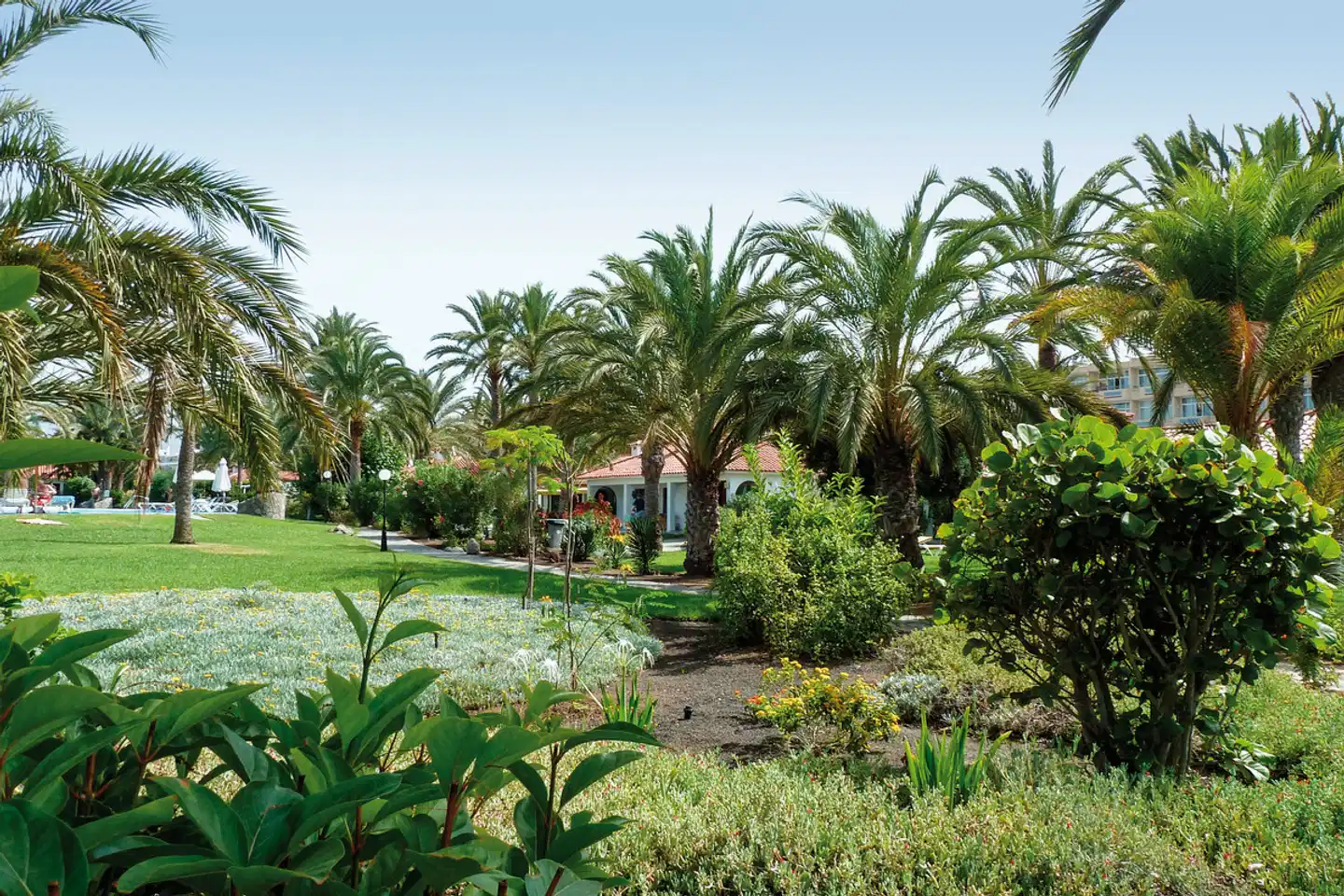 Sun Club Playa del Inglés Garten