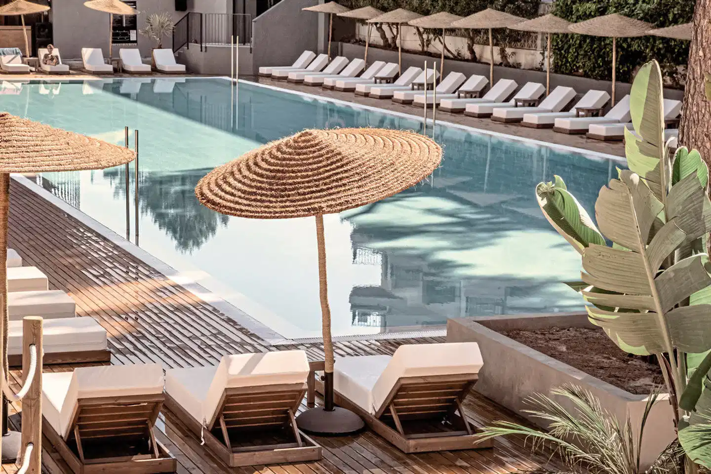 Caramelo Palma Beach Pool