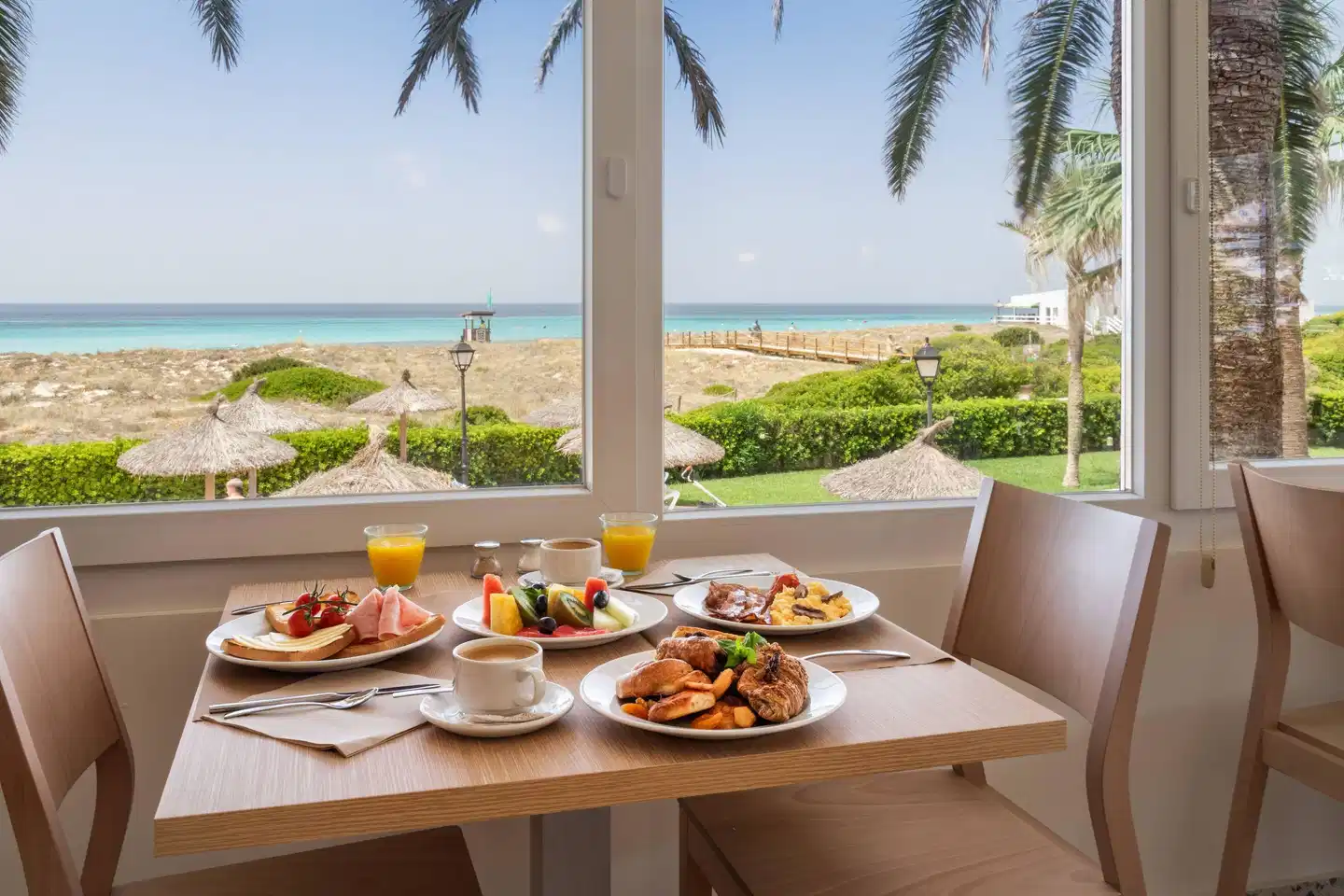 Sol Milanos Pingüinos Terrasse