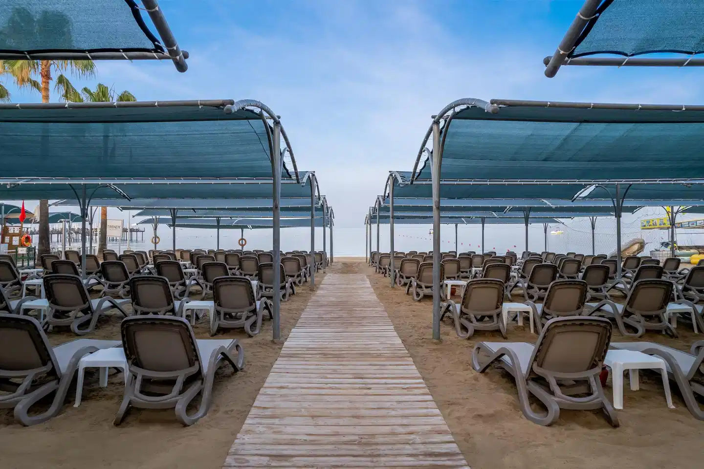 Trendy Palm Beach Adults only Strand