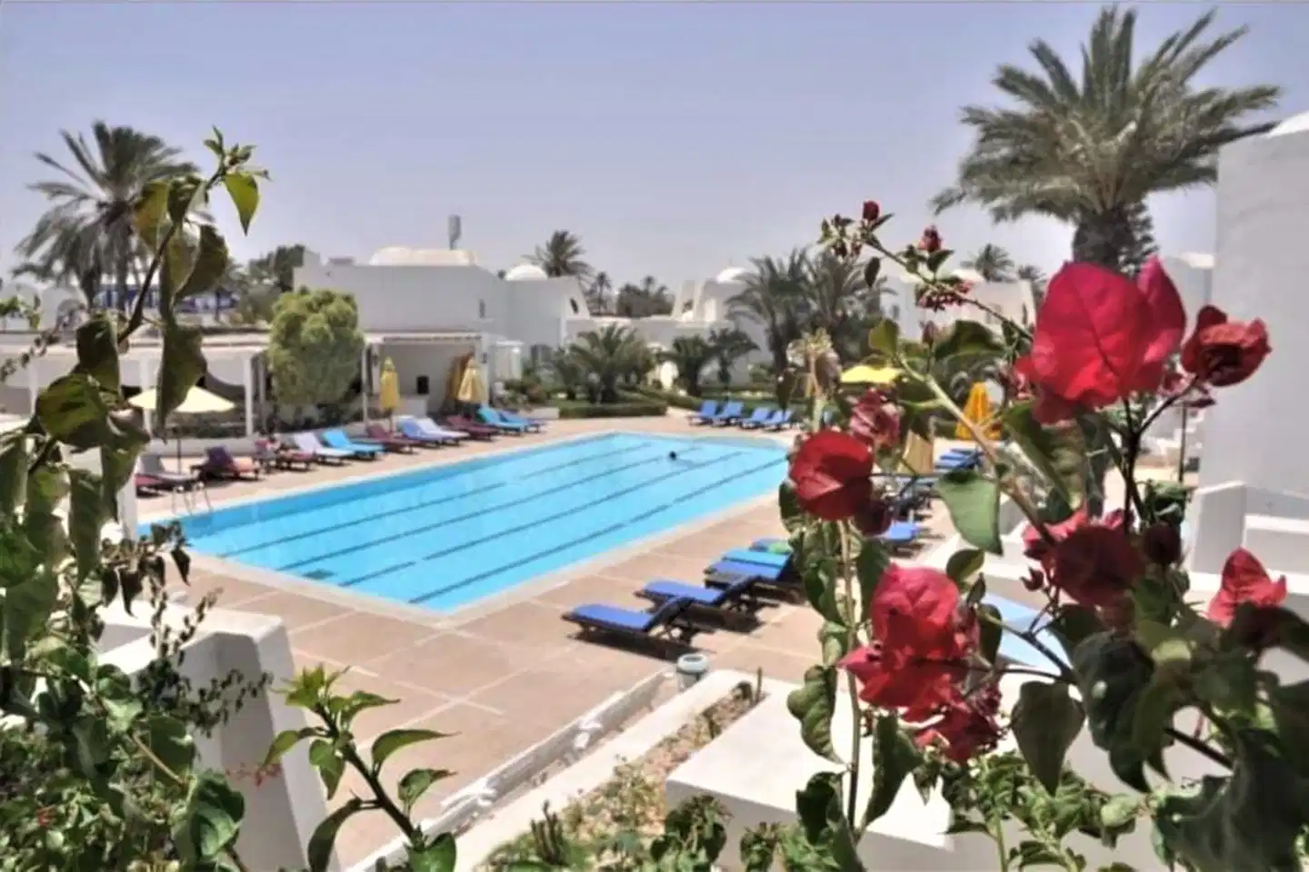 Zenon Hotel Djerba Pool