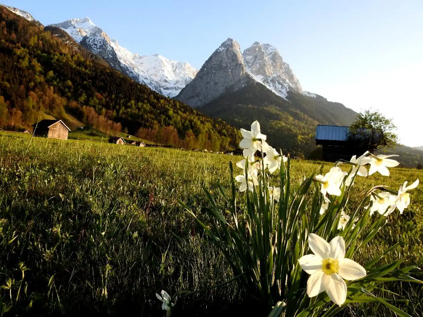 Am Badersee Landschaft