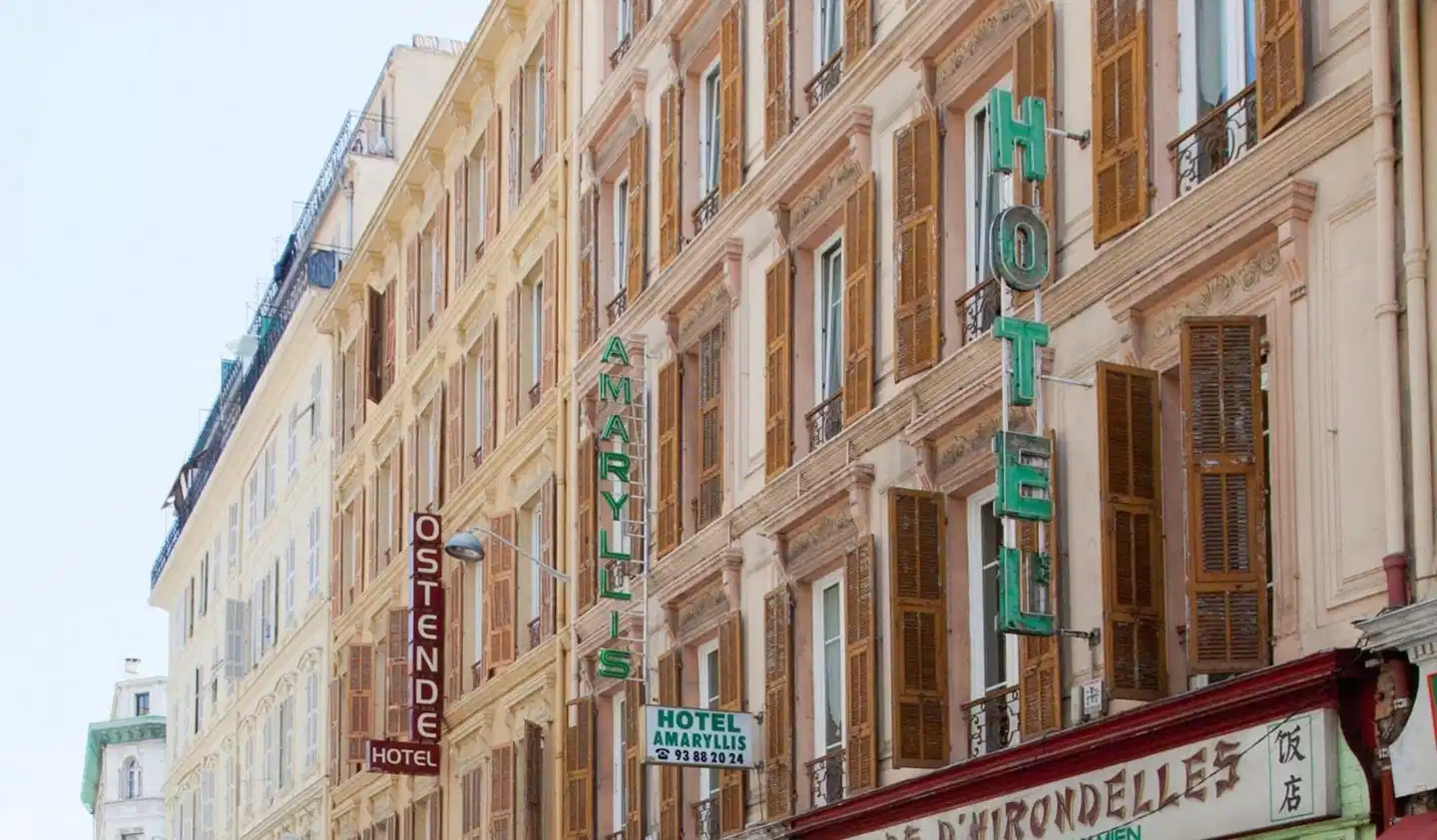 Amaryllis Aussenansicht