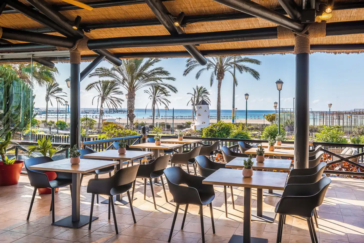 Barceló Fuerteventura Mar Terrasse