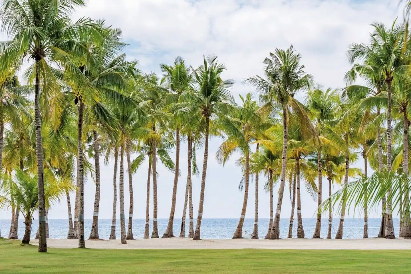 Bohol Beach Club Garten
