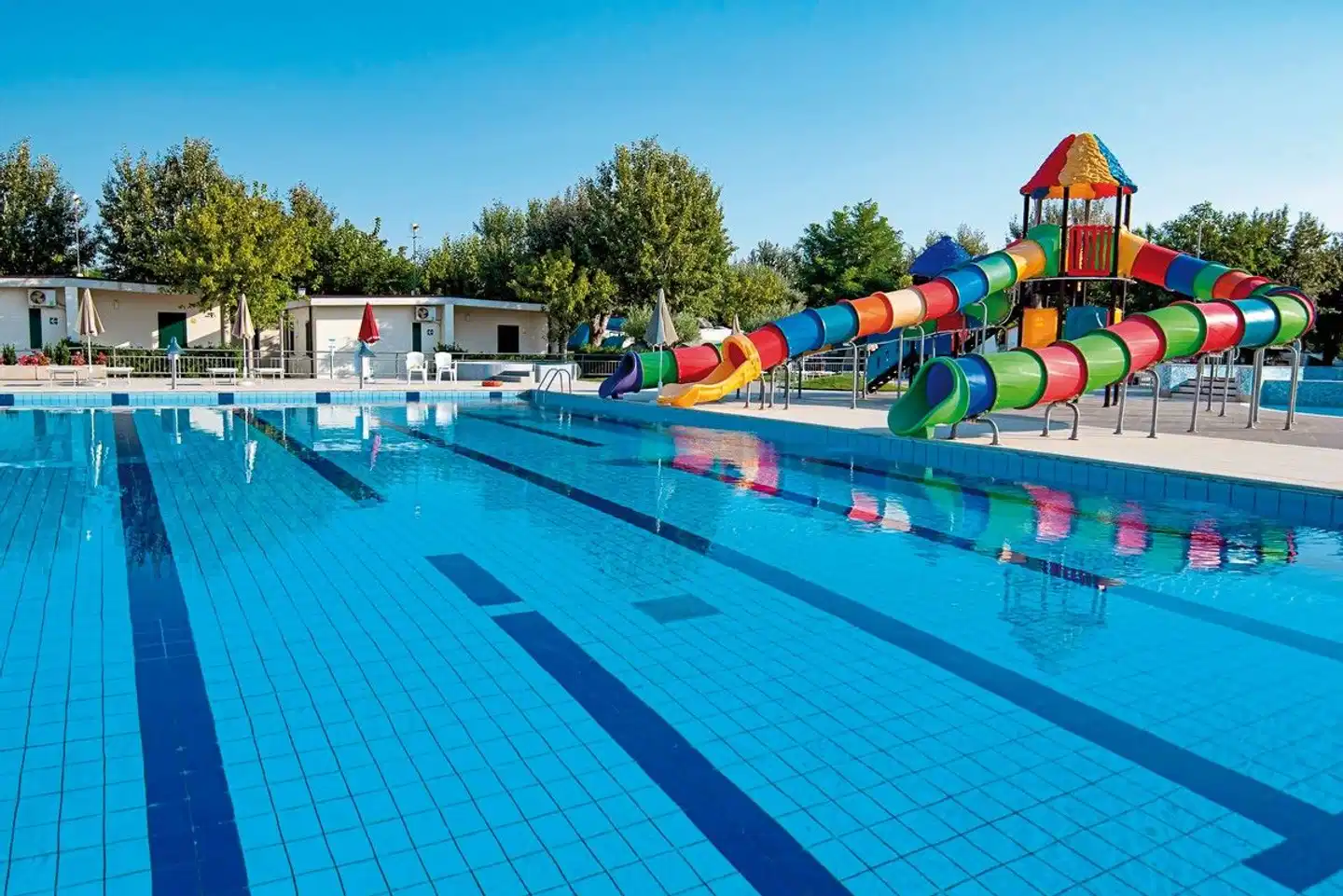 Stork Family Collection Pool