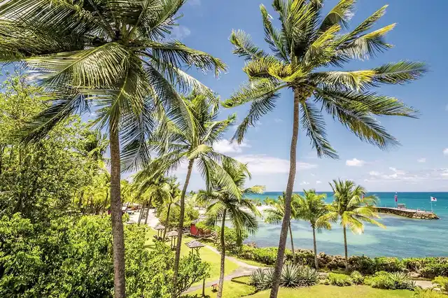 La Créole Beach Hôtel & Spa Garten