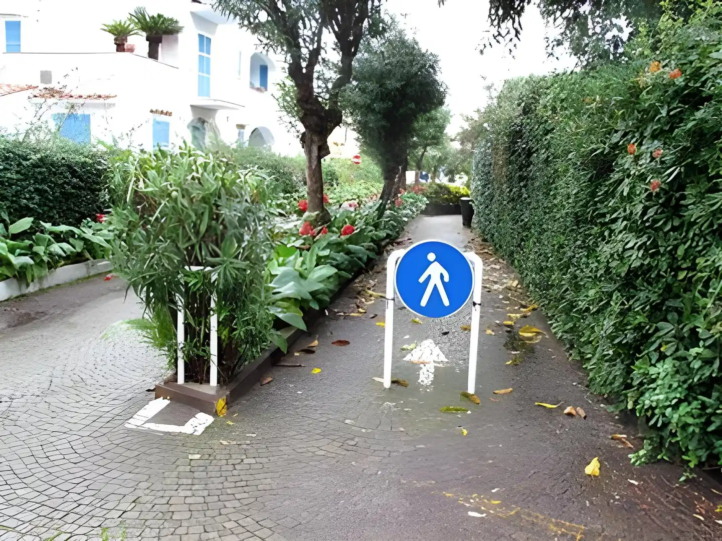 Grand Hotel Delle Terme Re Ferdinando Garten