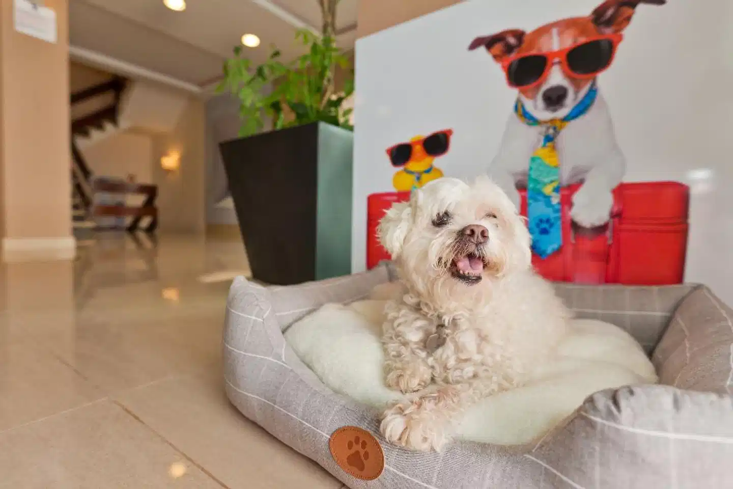 azuLine Mediterráneo Wohnbeispiel