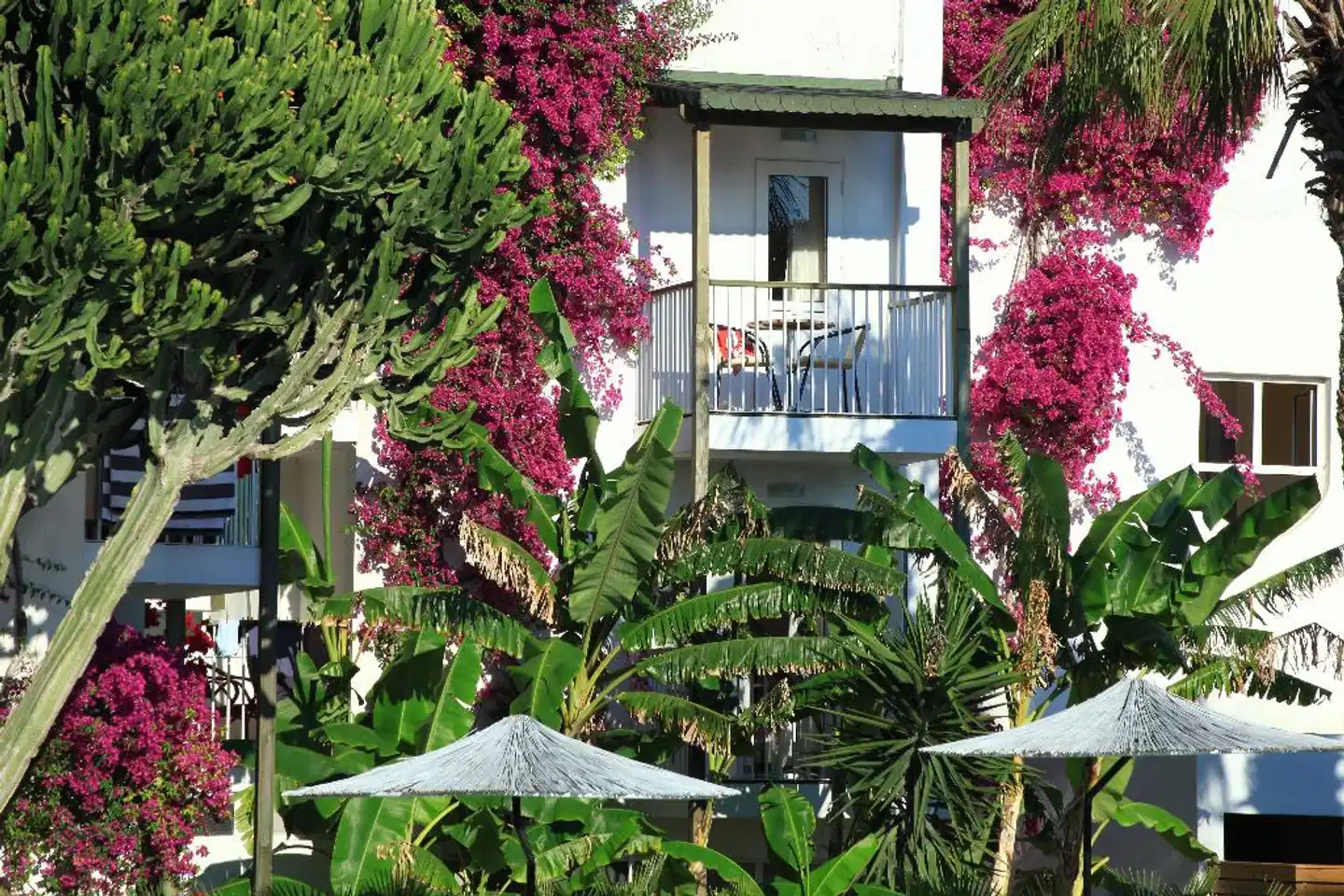 Parkim Ayaz Hotel OUTDOOR