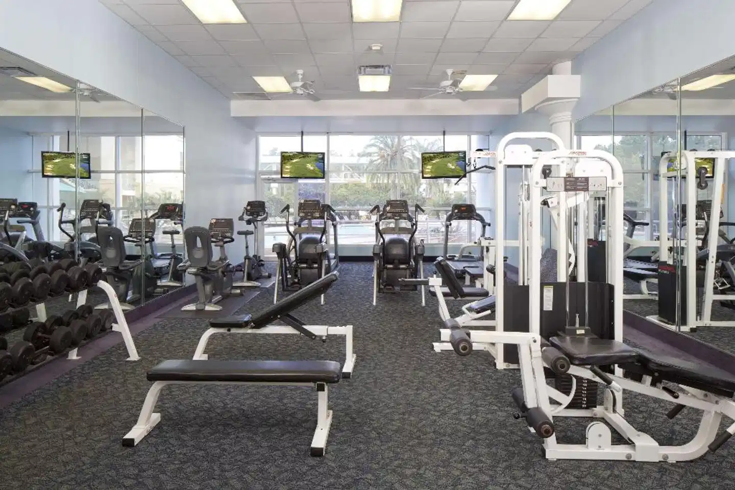 Rosen Plaza Hotel Sport und Entertainment