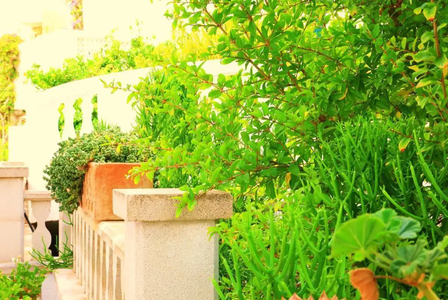 Villa Columbus Garten