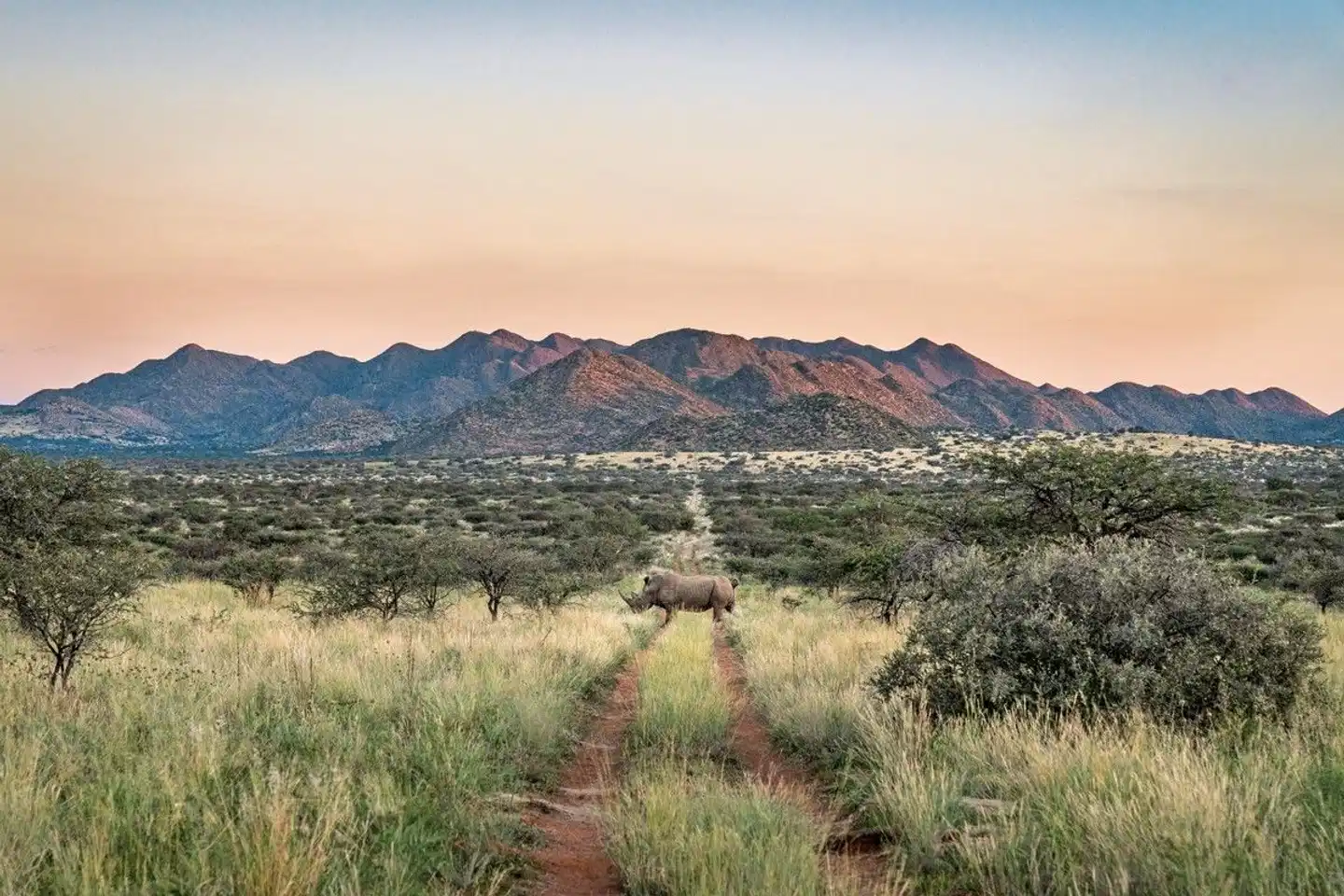 Tswalu Kalahari Reserve Landschaft