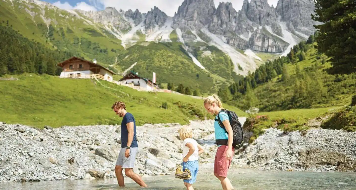 Goldener Adler Landschaft