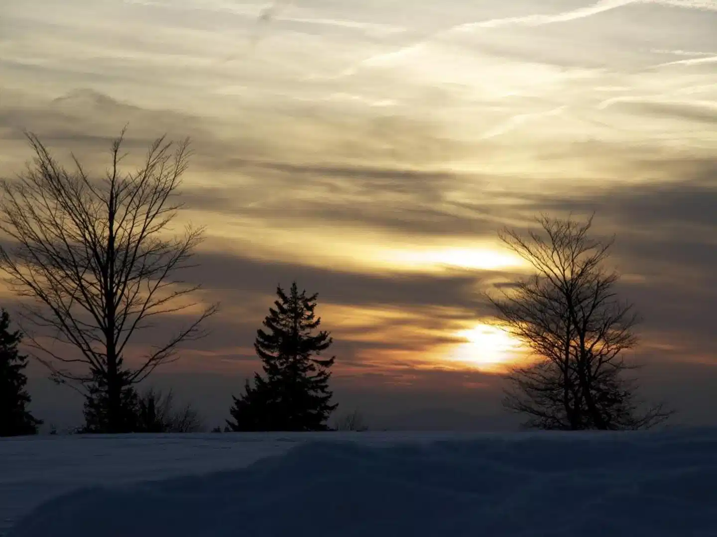 AVITAL Resort Winterberg Landschaft