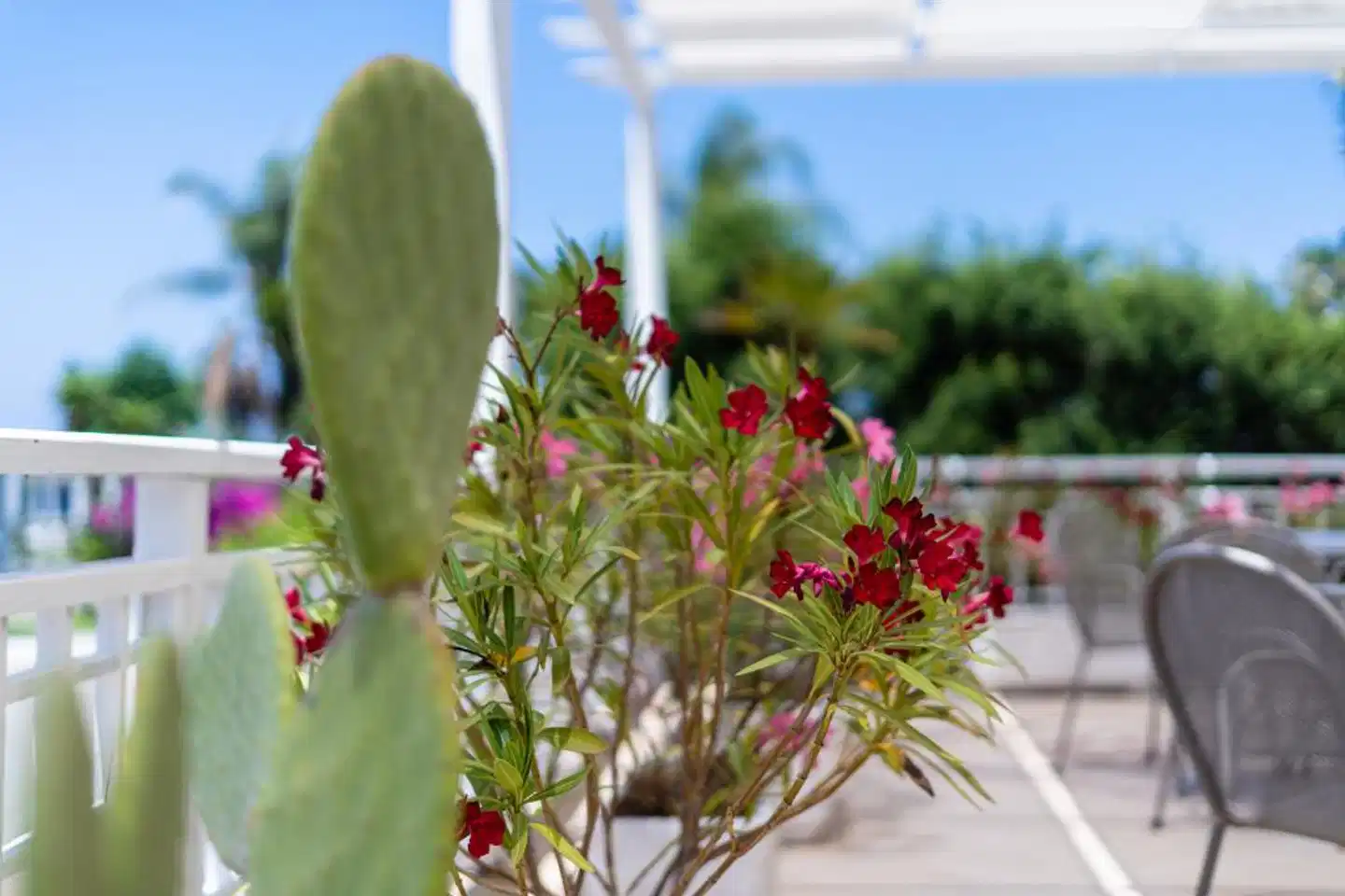 Le Dune Beach Club Aussenansicht