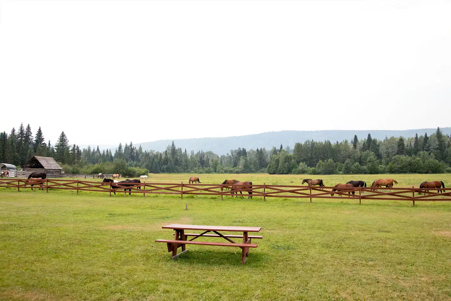 Wells Gray Guest Ranch Sport und Entertainment