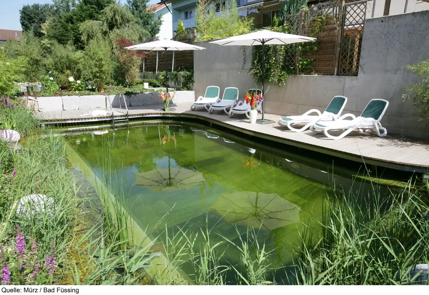 Wunsch Hotel Mürz Pool