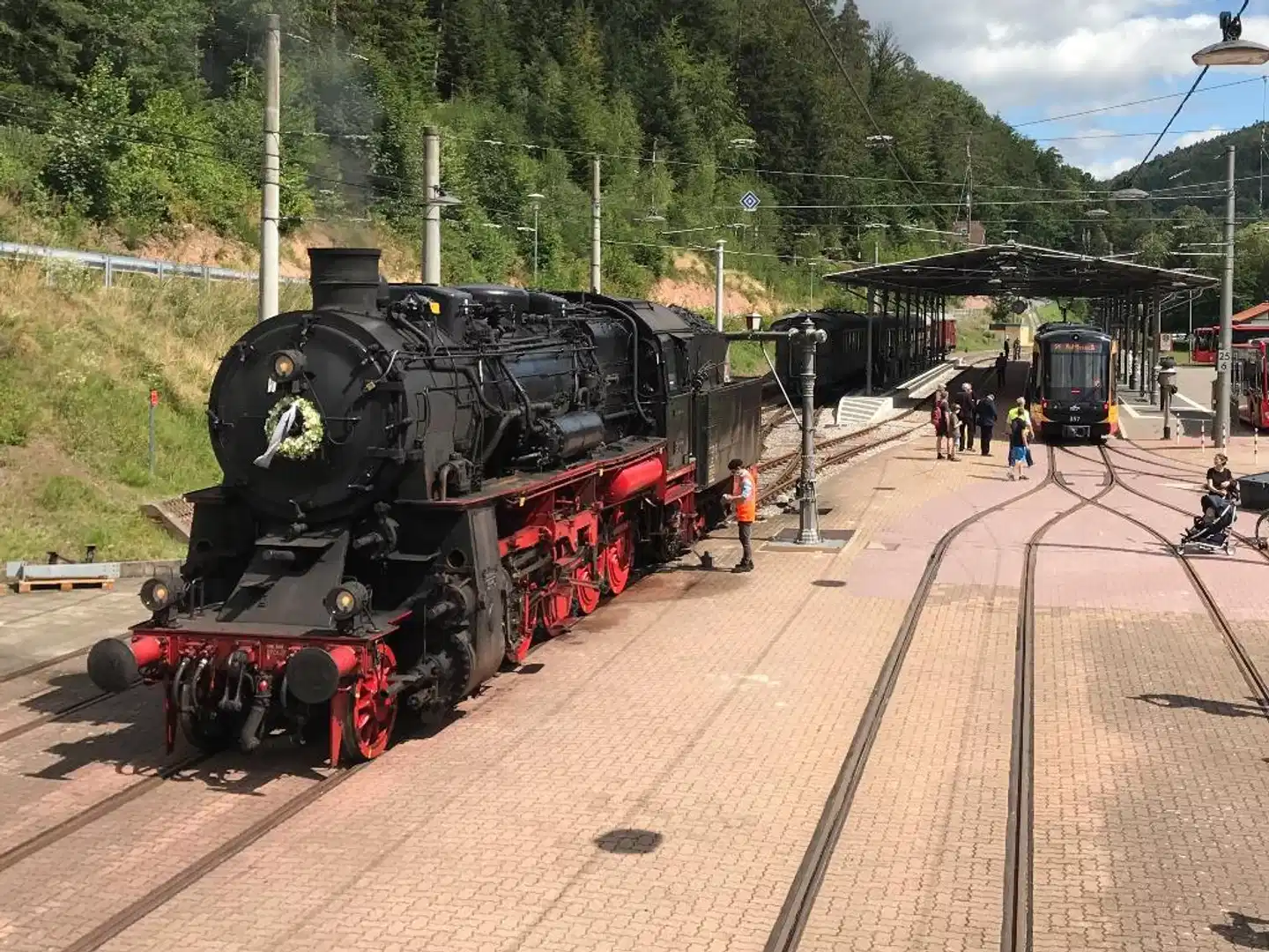 Kull von Schmidsfelden Tiere