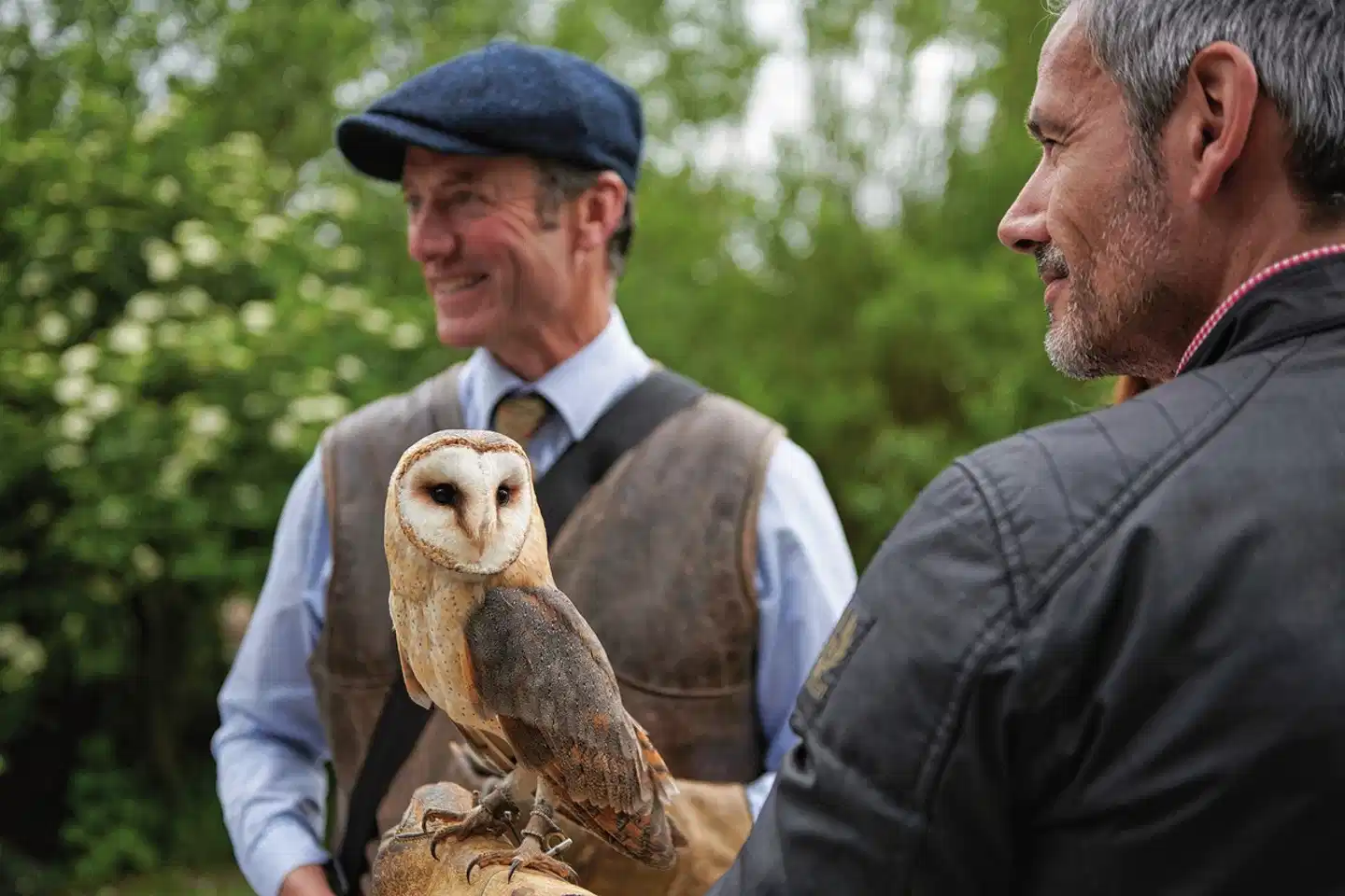 Dromoland Castle Tiere