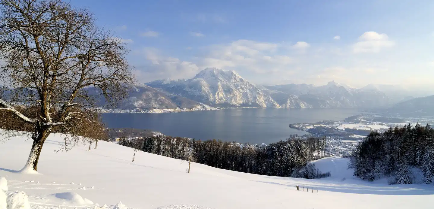 Panoramahotel Traunstein Landschaft