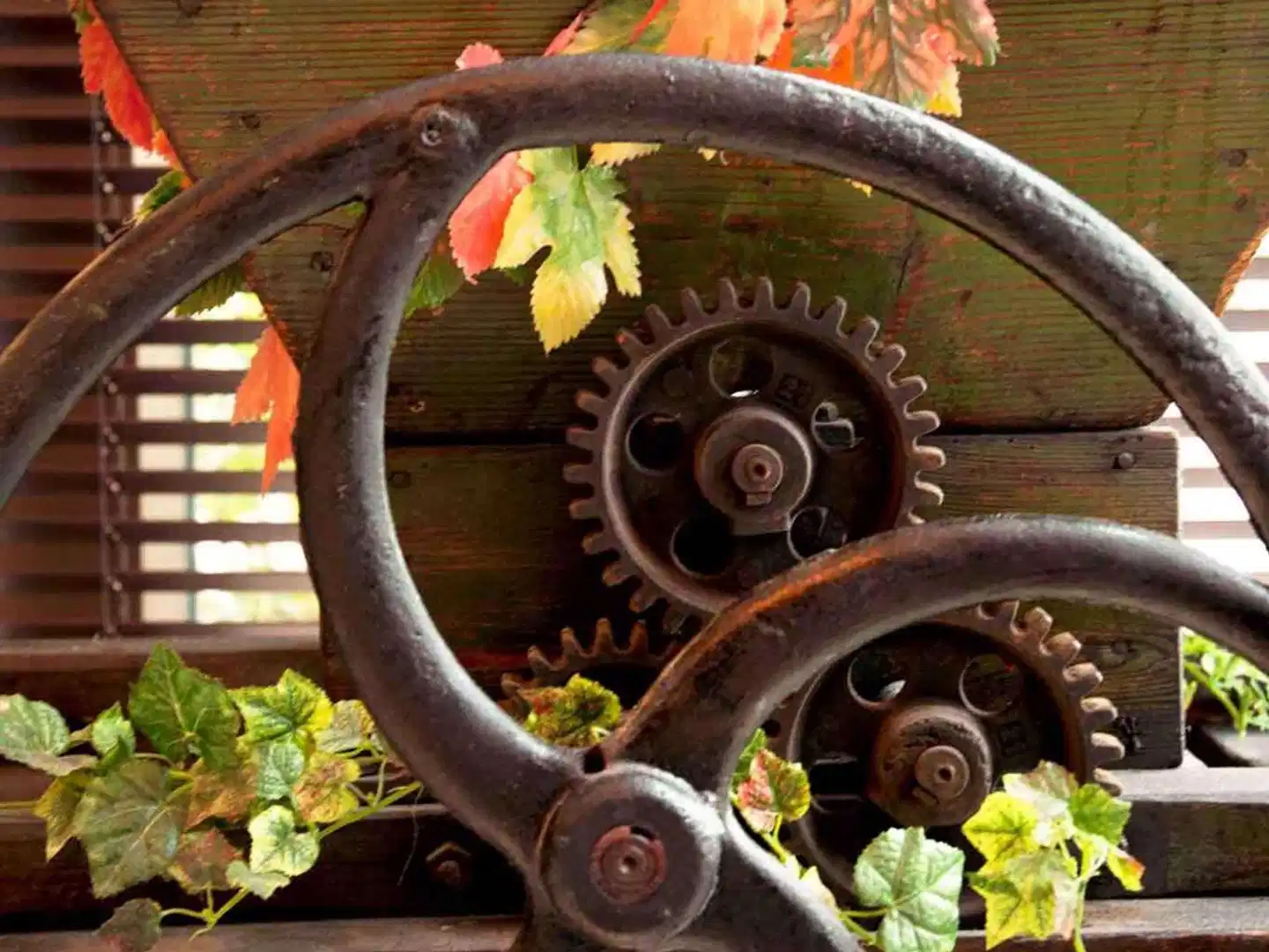 Mercure Koblenz Sport und Entertainment