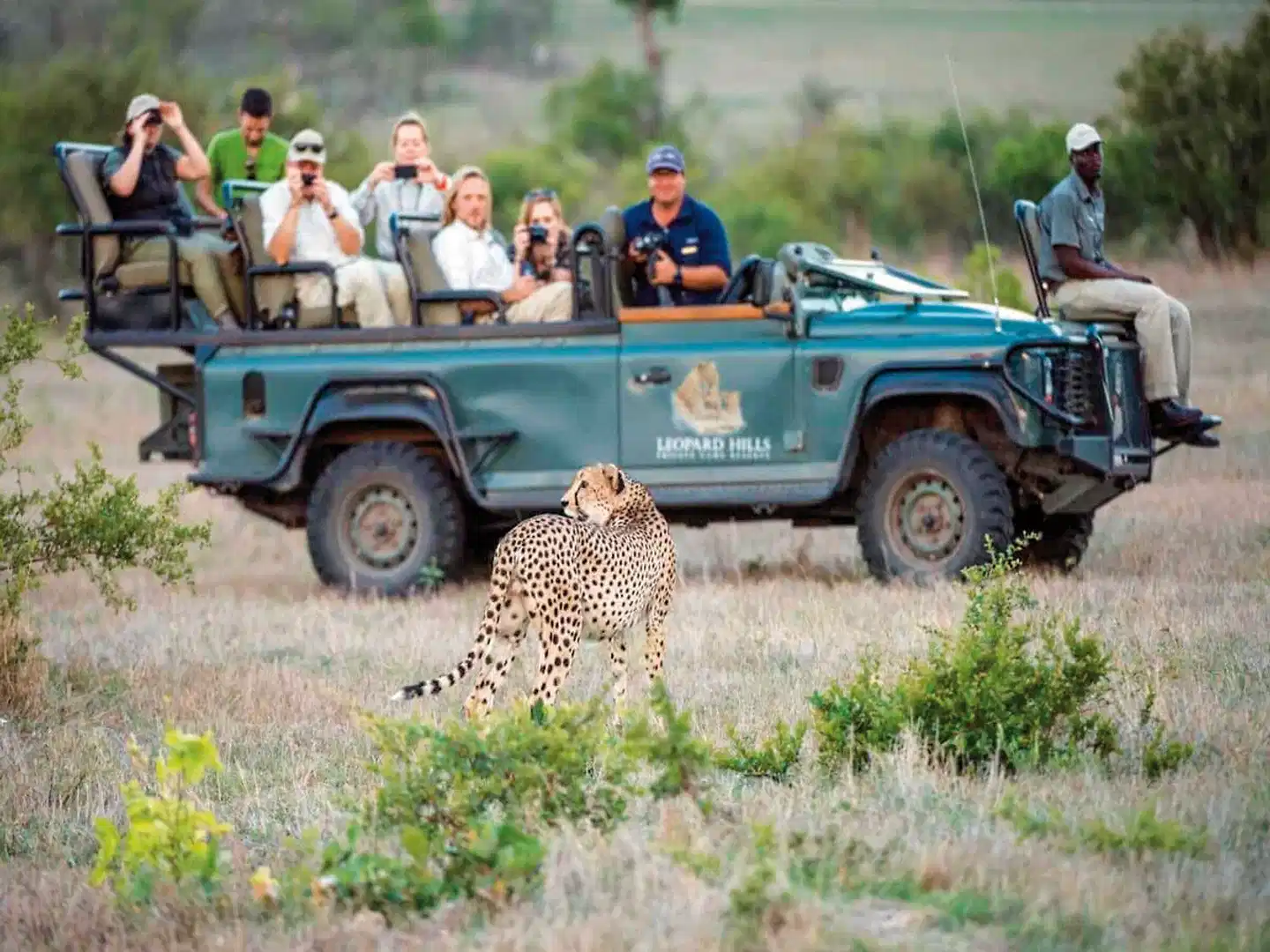 Leopard Hills Sport und Entertainment